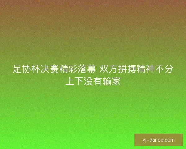 足协杯决赛精彩落幕 双方拼搏精神不分上下没有输家