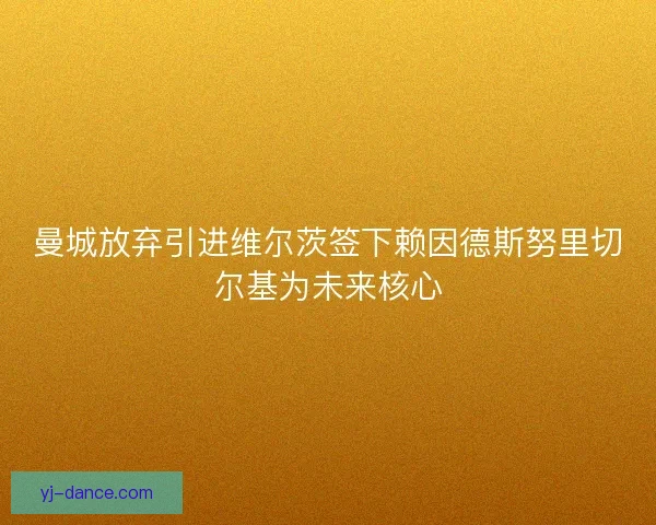 曼城放弃引进维尔茨签下赖因德斯努里切尔基为未来核心